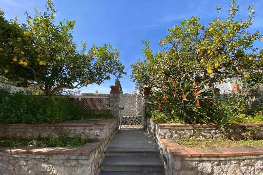 I Limoni Capri Apartment Esterno foto